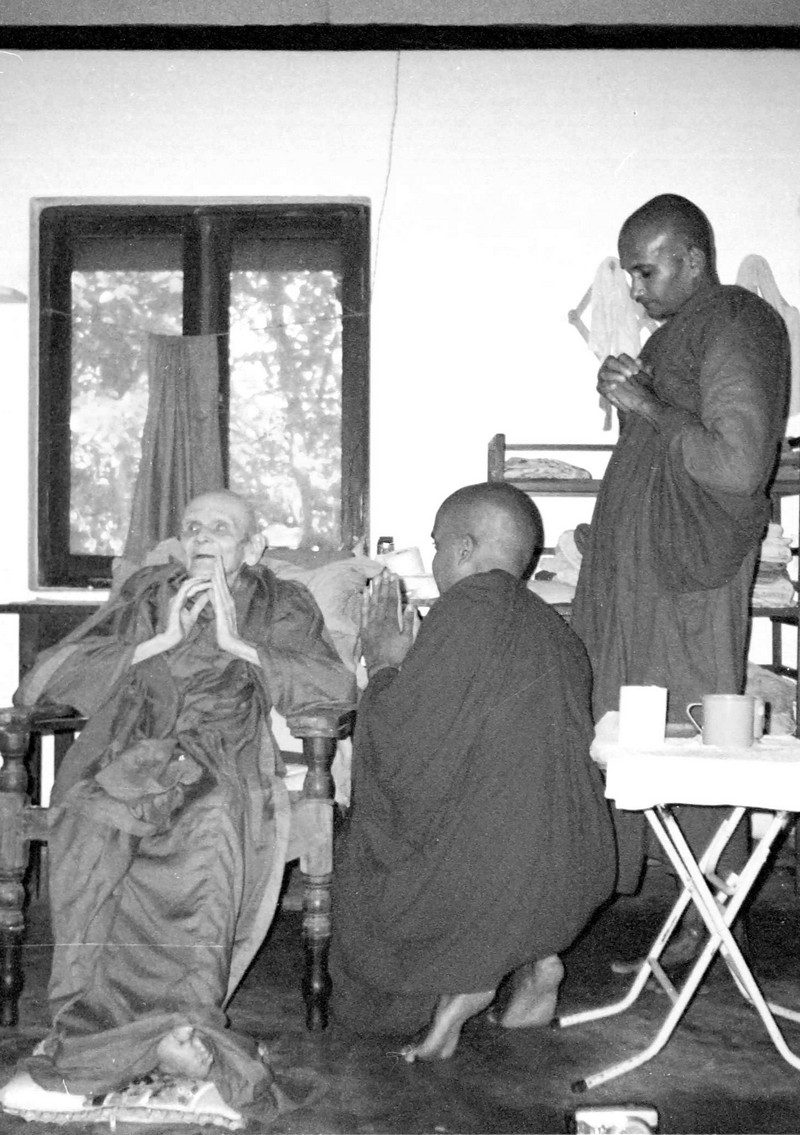Ven. Ñāṇavimala at Island Hermitage